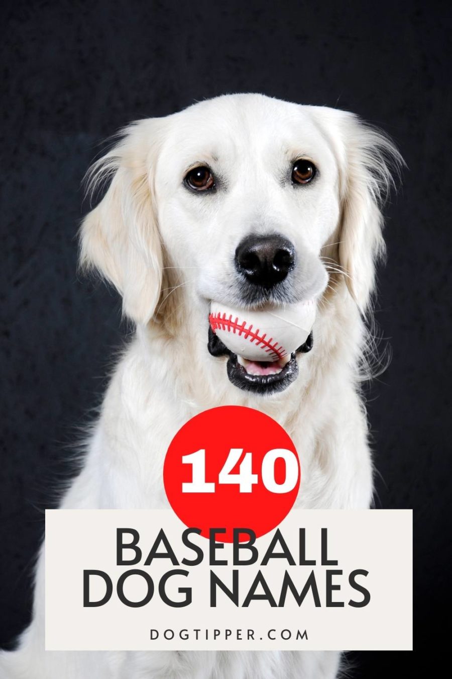 BASEBALL NAMES FOR DOGS
