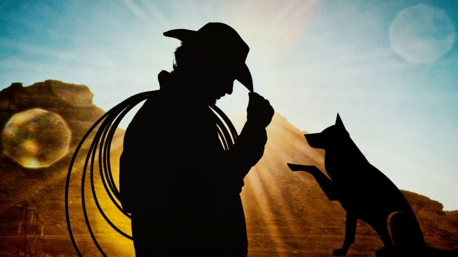 cowboy silhouette