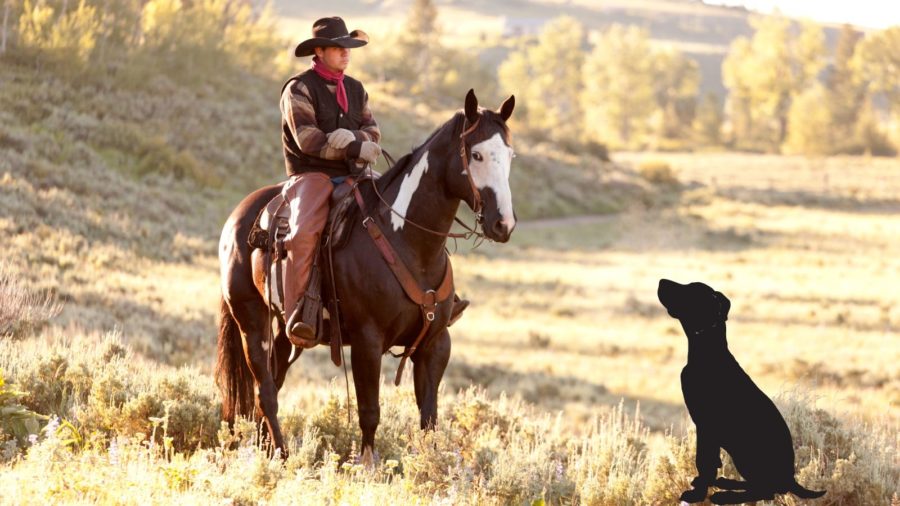 cowboy on horseback