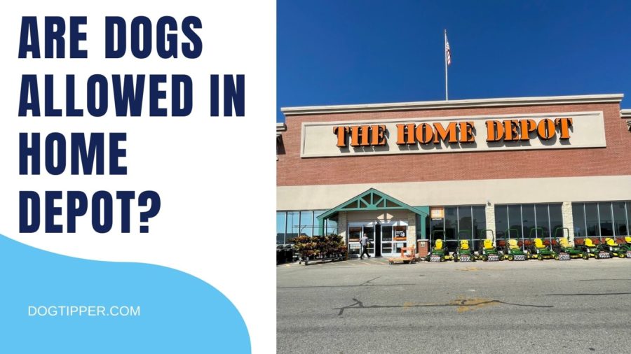 Are dogs allowed in Home Depot stores in the US? In Canada?