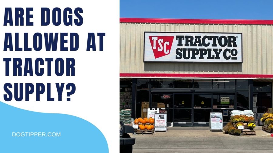 Are Dogs Allowed in Tractor Supply?