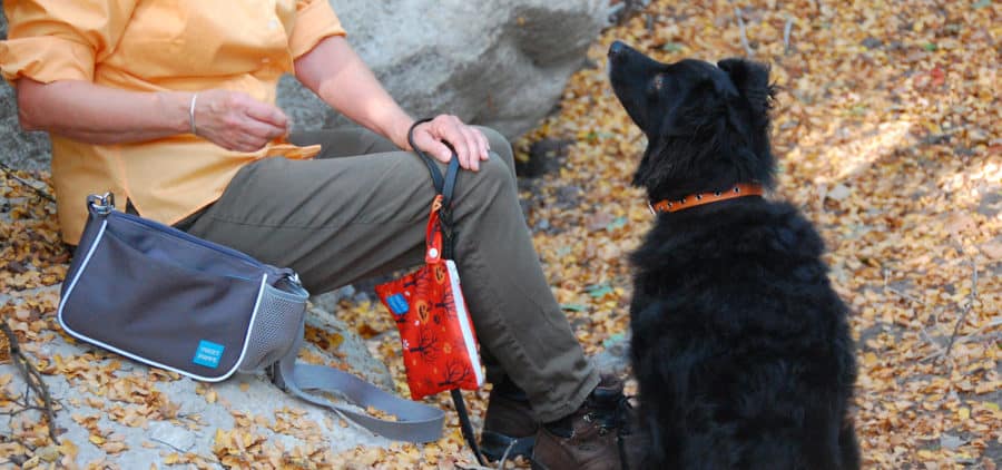 dog walking bag on fall dog walk