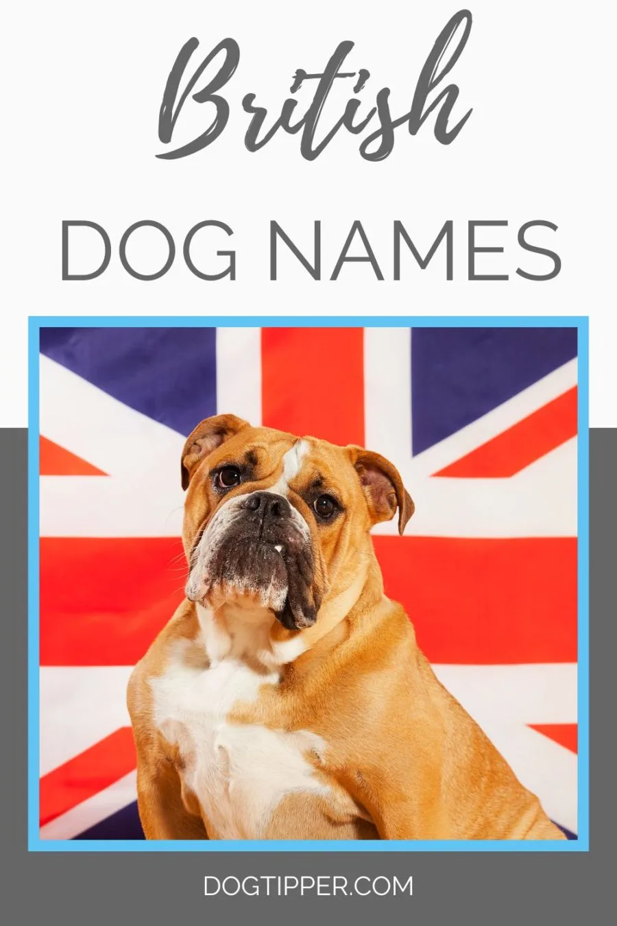 400+ British Dog Names