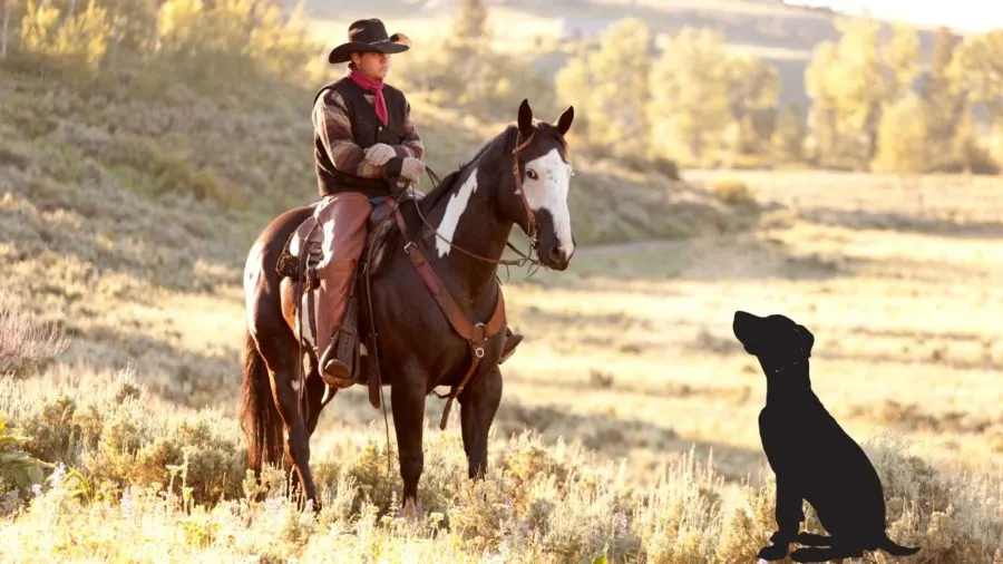 cowboy on horseback