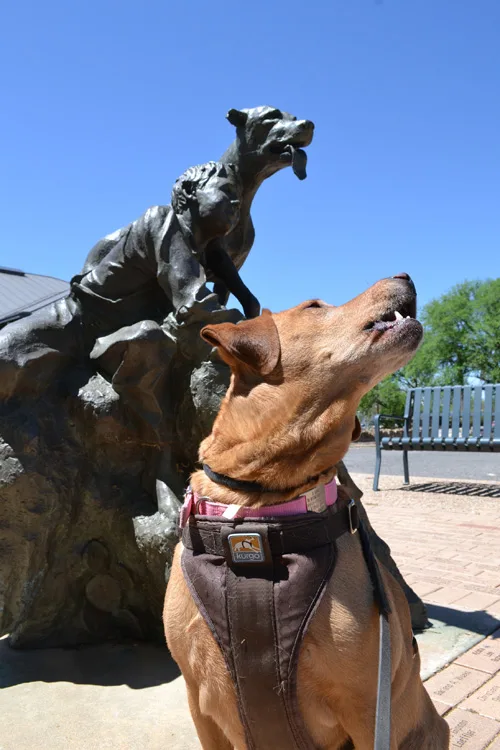 Irie in front of Old Yeller Statue, Mason