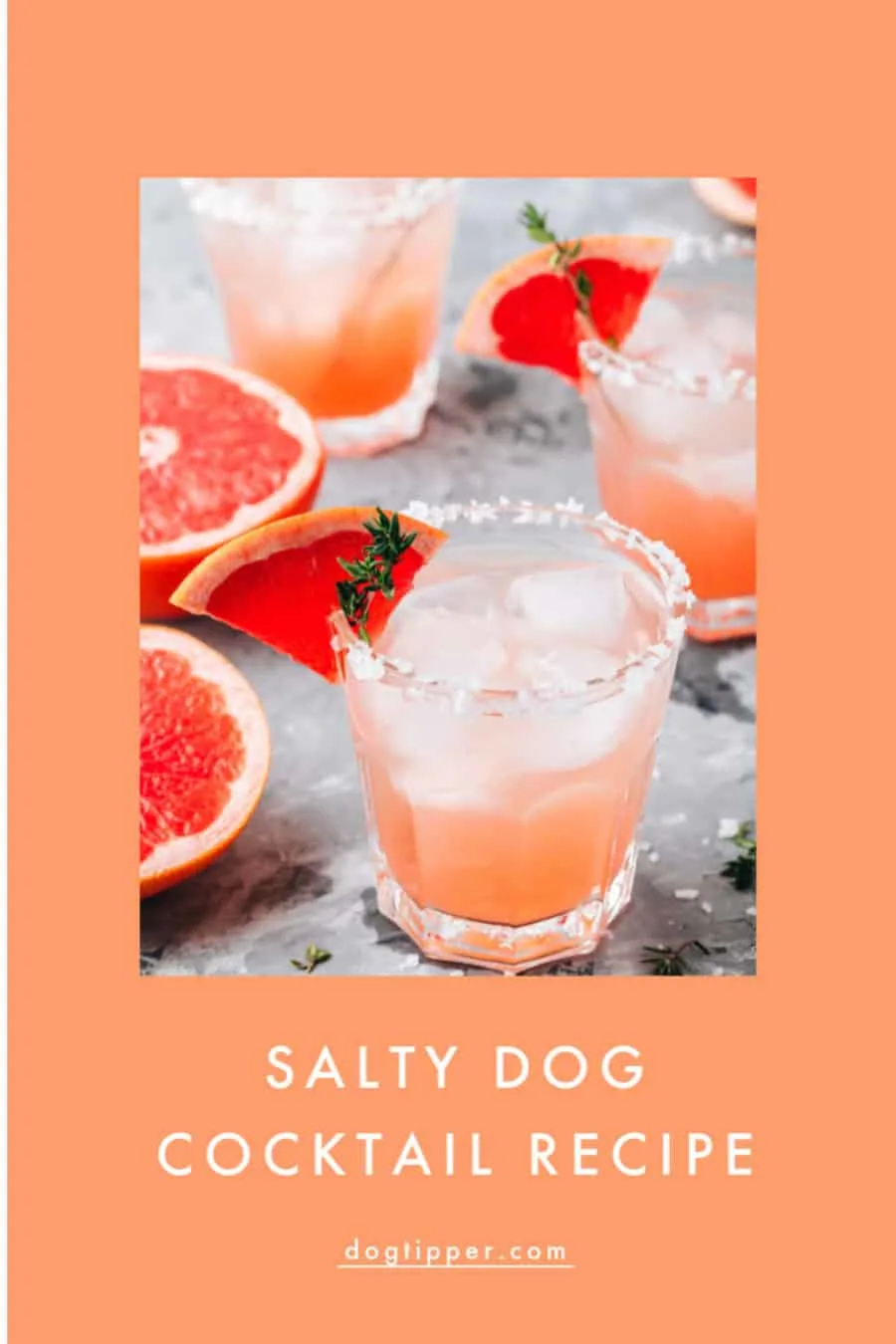 Salty Dog Cocktail Recipe