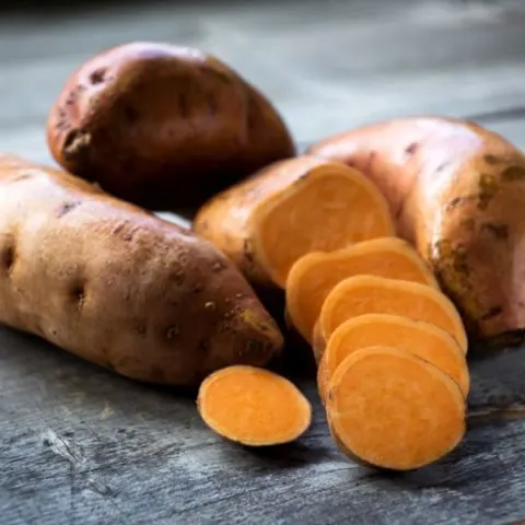 Flaxseed and Sweet Potato Dog Treats